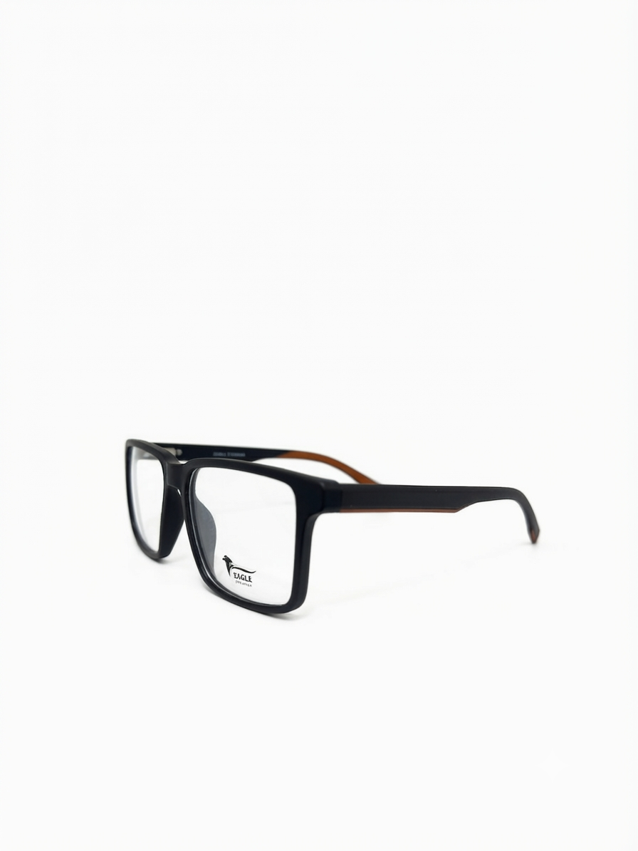 Eagle eyewear