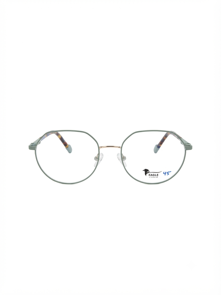 Eagle eyewear