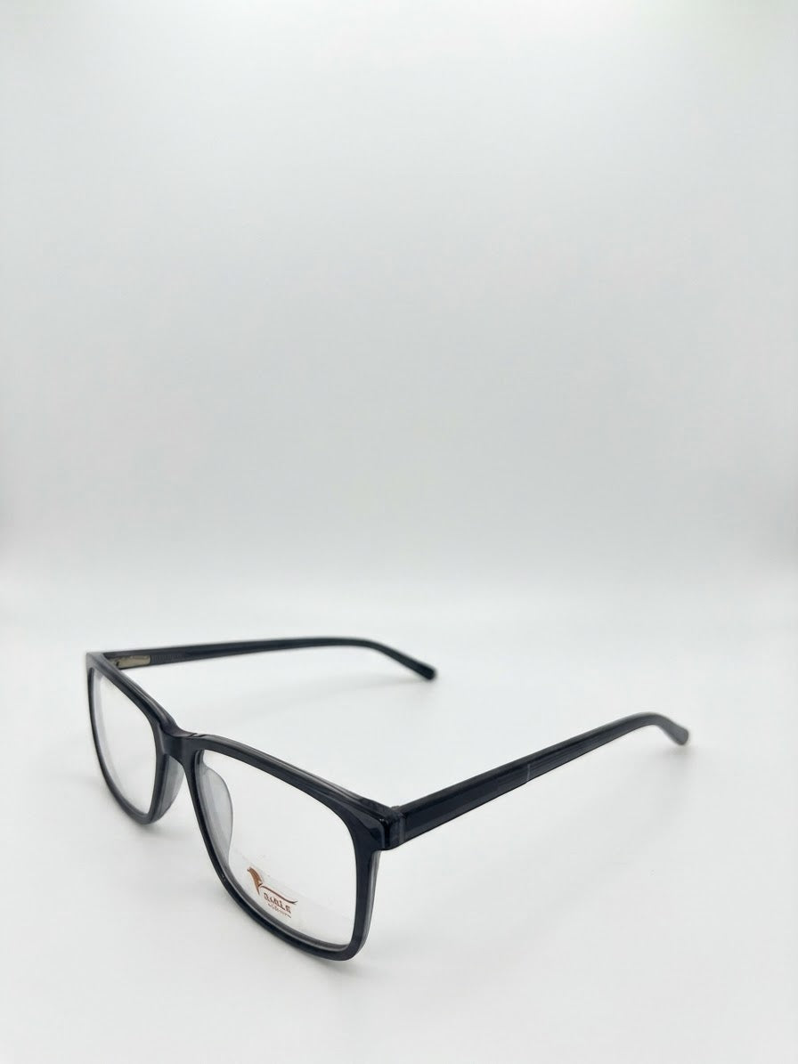 Eagle eyewear