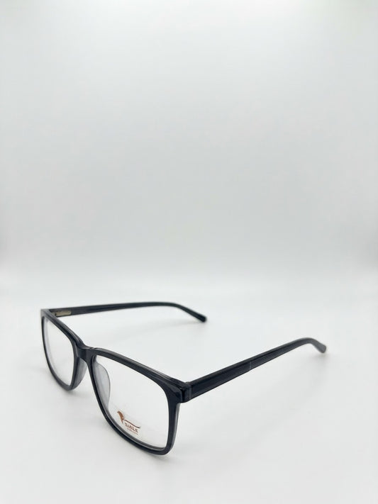 Eagle eyewear
