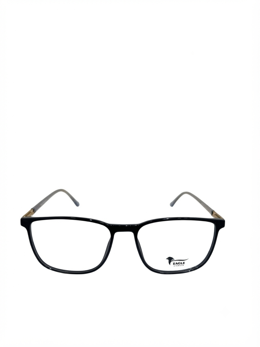 Eagle eyewear