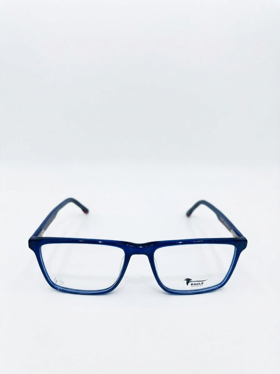 Eagle eyewear