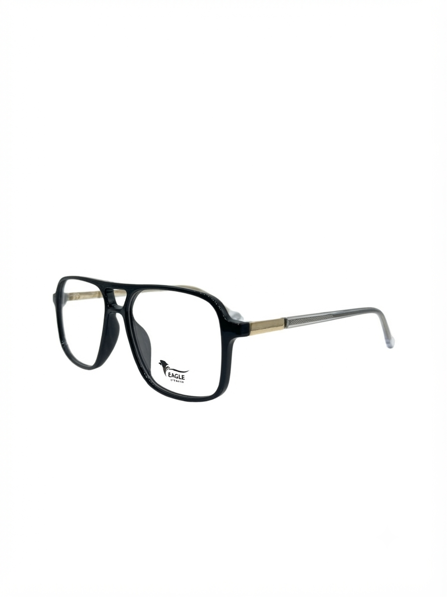 Eagle eyewear