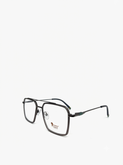 Eagle eyewear