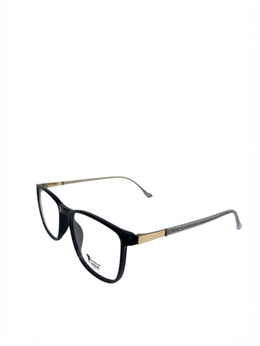 Eagle eyewear