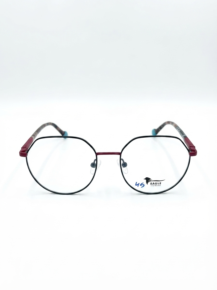 Eagle eyewear