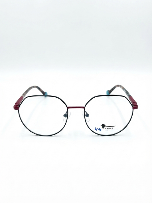 Eagle eyewear