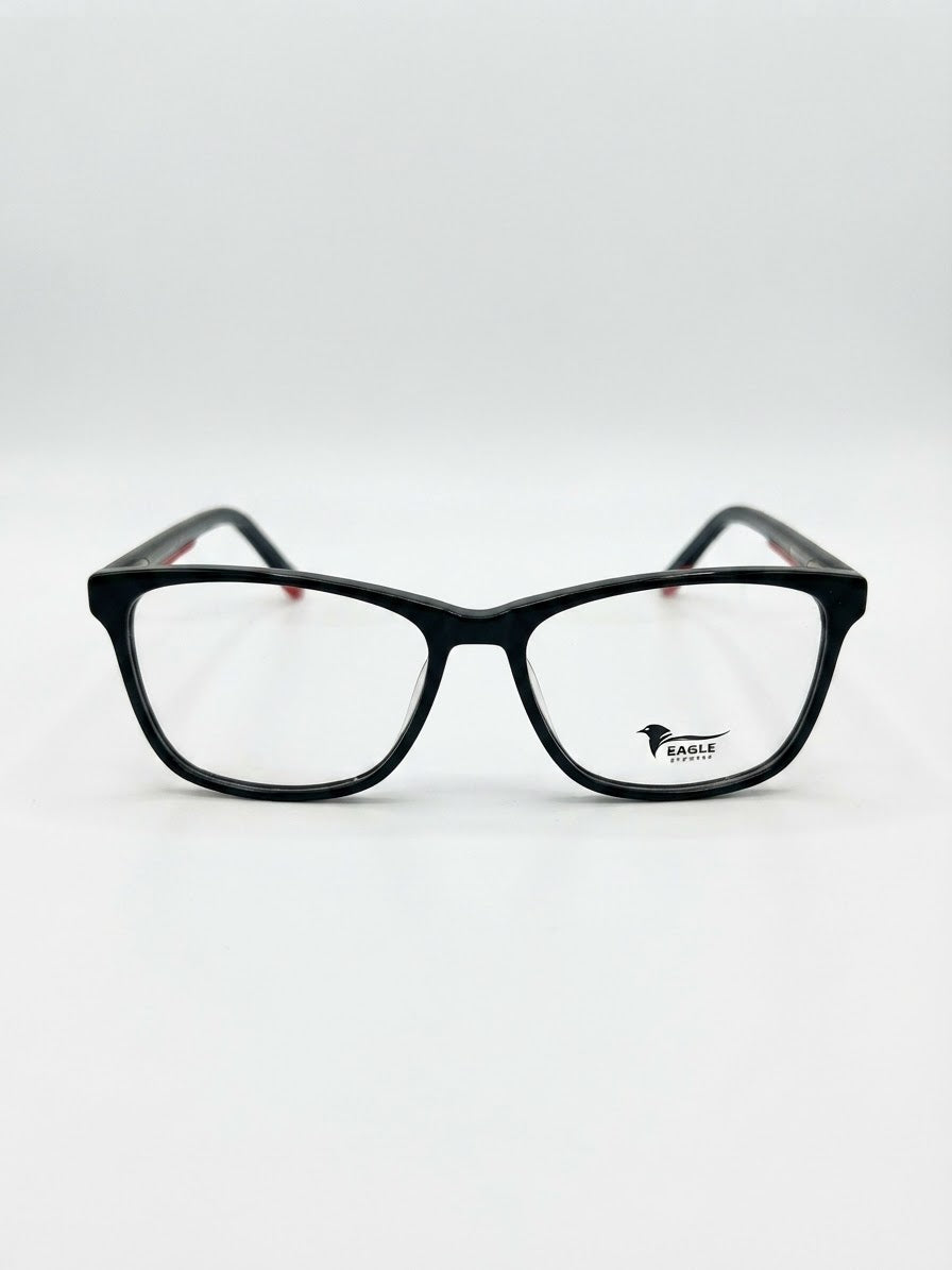 Eagle eyewear