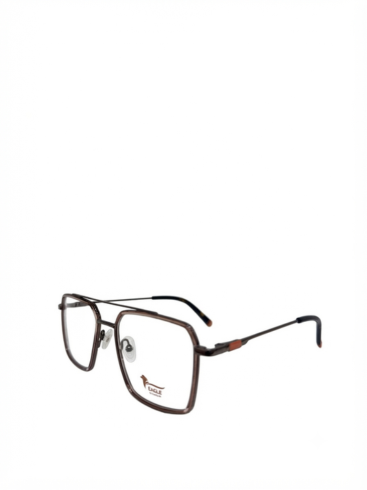 Eagle eyewear